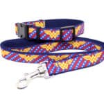 wonderwoman collar and lead set