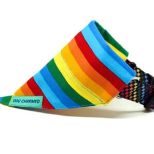 rainbow stripes dog bandana