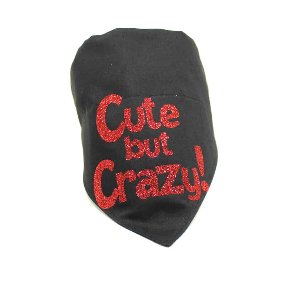 cute but crazy dog bandana
