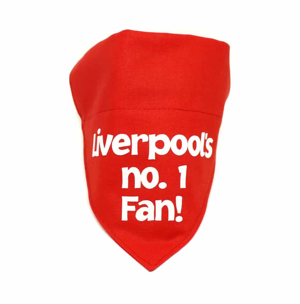 liverpool fan dog bandana