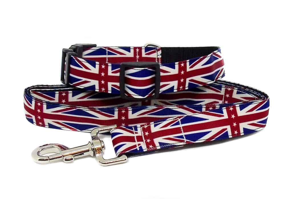 Dog Collar and Lead Sets